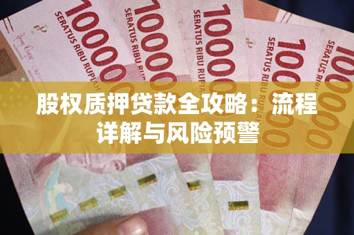 济南股权质押贷款全攻略：流程详解与风险预警