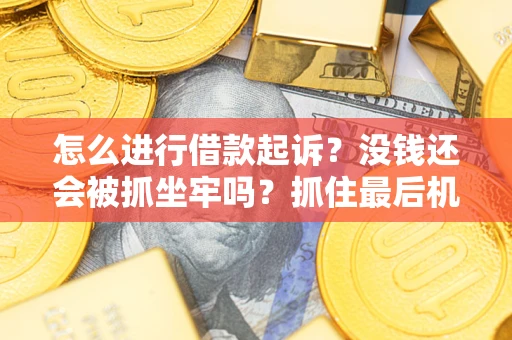 济南怎么进行借款起诉？没钱还会被抓坐牢吗？抓住最后机会！
