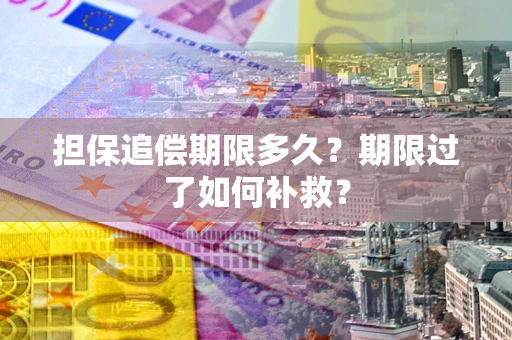 济南担保追偿期限多久？期限过了如何补救？